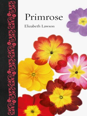cover image of Primrose